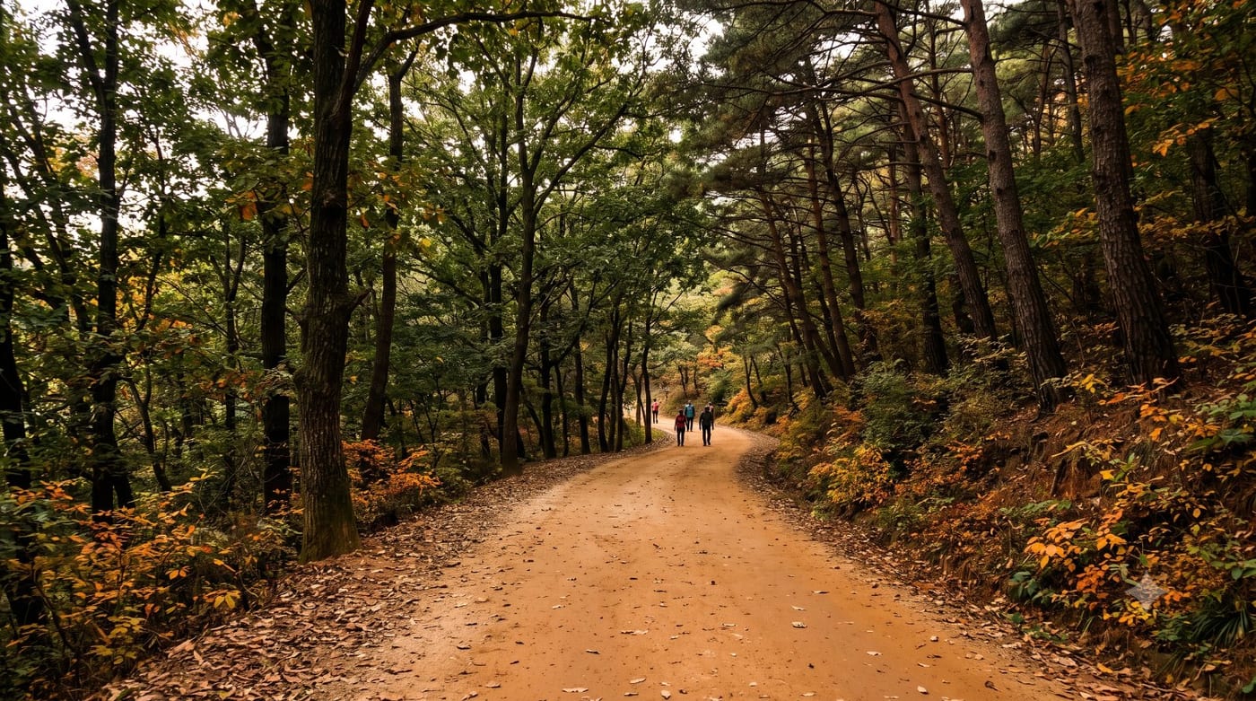 맨발로 달려도 되는 길이 있다 — 대전 계족산 황톳길런