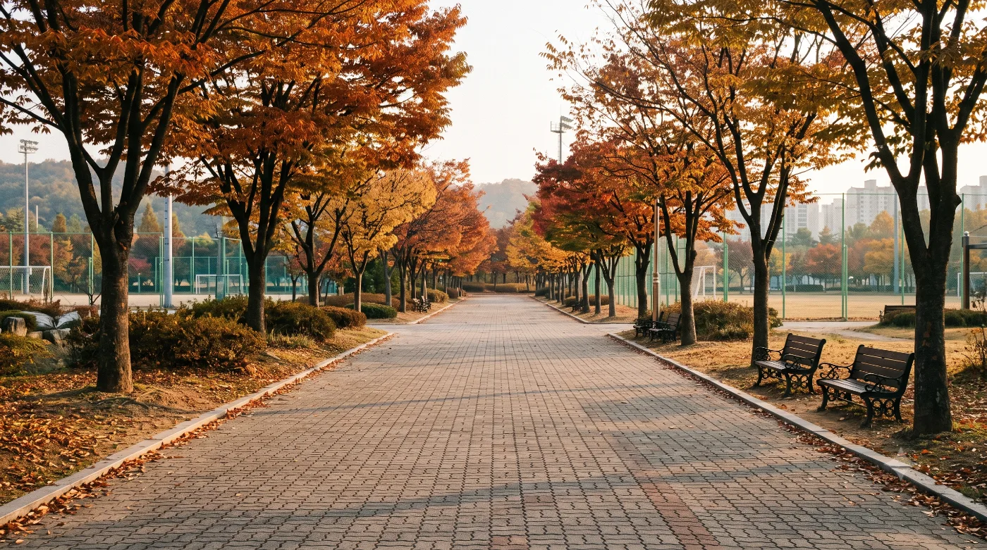 대구스타디움 러닝코스 — 세계육상선수권 경기장 옆 보조경기장 트랙, 바퀴 수로 도는 입문런 — AI로 만든 분위기 참고 이미지