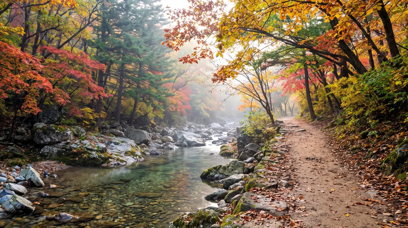 해남 러닝코스 6km — 나무터널 이어지는 대흥사 장춘숲길 왕복런