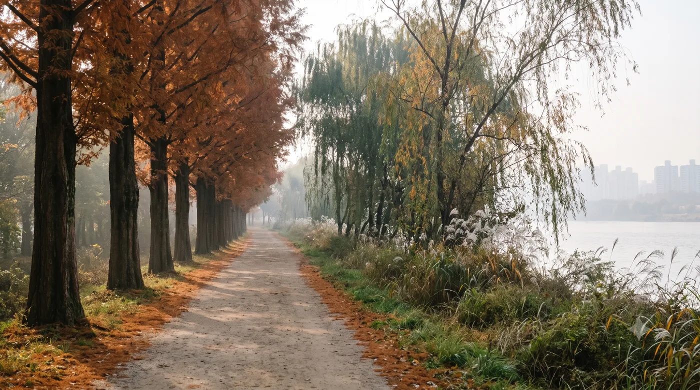 부산 화명생태공원 러닝코스 2.9km — 메타세쿼이아 강변을 도는 희망숲길 입문런 — AI로 만든 분위기 참고 이미지